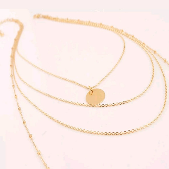 Gorgeous Gold or Silver Layered Coin Bar Necklace - Picture 2 of 3